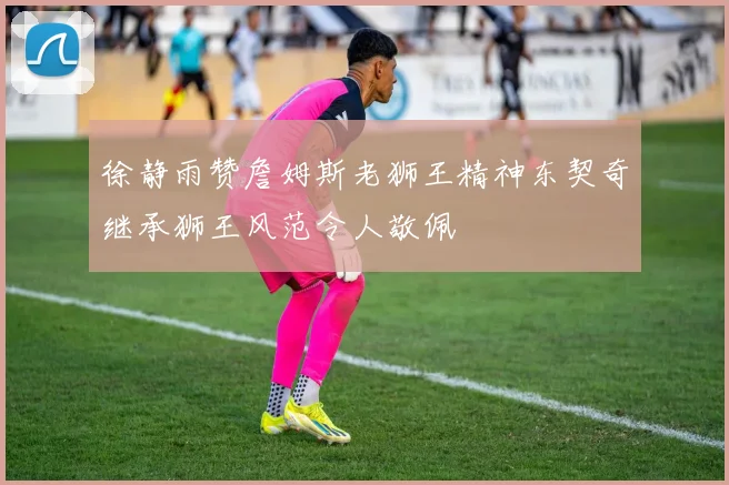 徐静雨赞詹姆斯老狮王精神东契奇继承狮王风范令人敬佩
